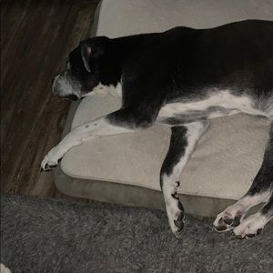 Meet your Posher, T l